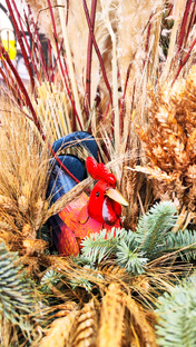 Продажи Авито, расхламление