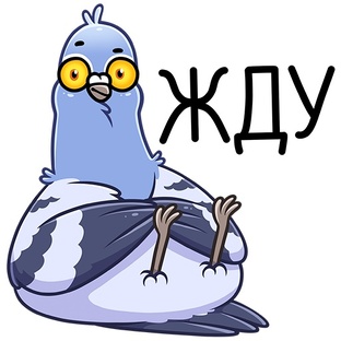 Аниме по которым анонсировали продолжение