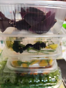 Микрозелелень