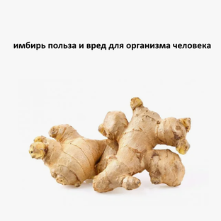 Имбирь польза и вред для организма человека