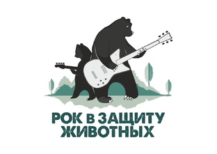 Клипы