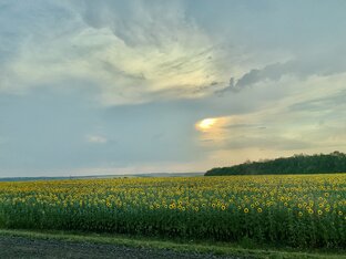 Черноземье