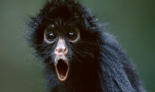 Жизнь в кредит