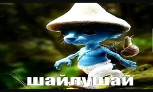Шайлушай