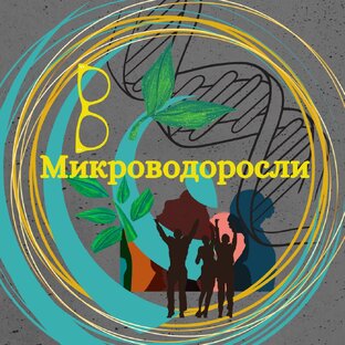 Микроводоросли.