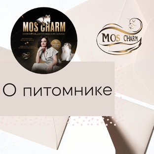 О питомнике