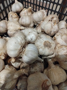 Всё про овощи