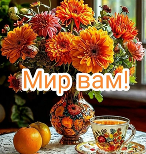 Лучше чем вчера 