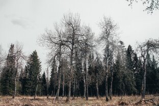 Психология выживания