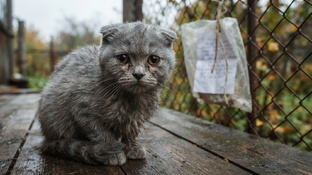 ДраматиШное с хэппи-эндом