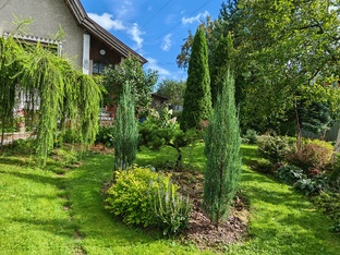 Дачные истории