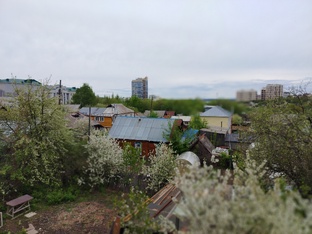 Заготавливаю травы, растения. 