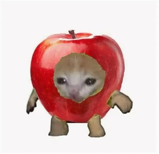 Мой опыт на Авито