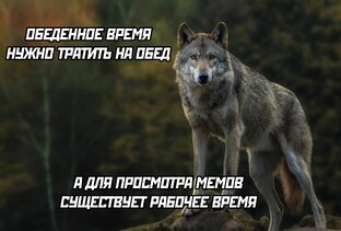 Подборка мемов и забавных картинок