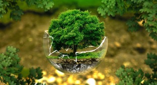 МИР ВОКРУГ НАС