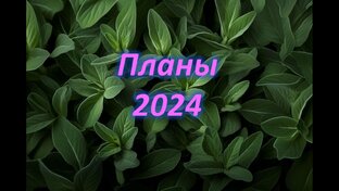 Планы 2024