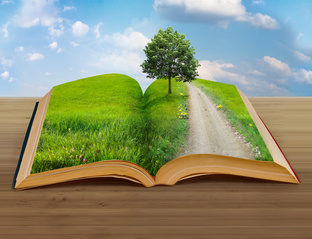 Книги, которые сто́ит изучить