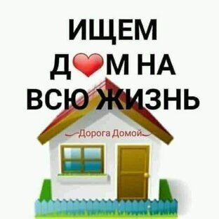 Ищем ответственных хозяев