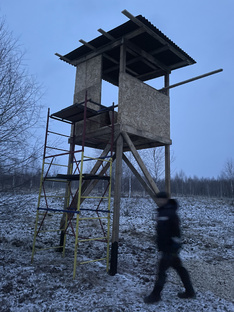 Вольерная охота на кабана