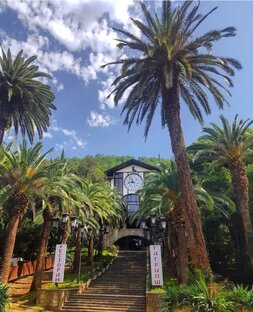 Абхазия - отдых