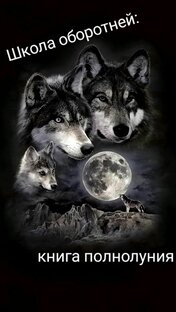 Школа оборотней: книга полнолуния
