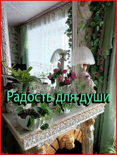 Цветы