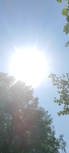 Мышление нельзя остановить Ошо 