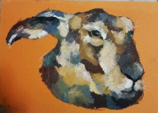 Видео дневники