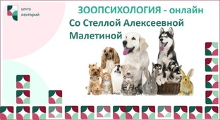 Поведение животных