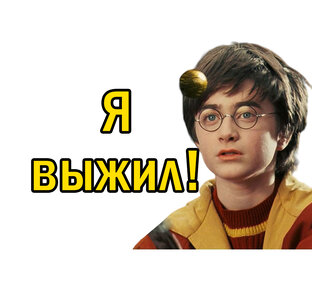 Гарри Поттер и все-все-все