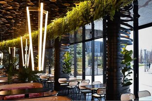 Лучшие рестораны Краснодара