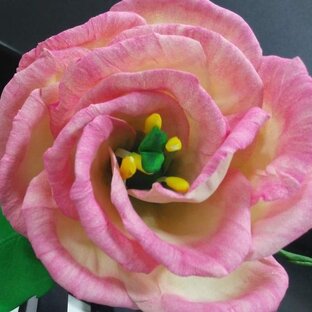 цветоделие