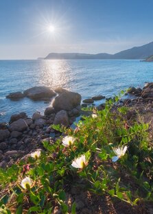 Предисловие