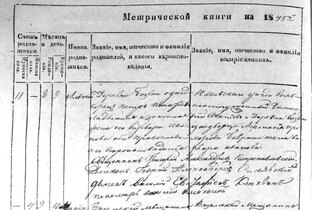Профессор А. Н. Ежов: из истории рода. Ладынины