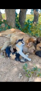 Лучшая подборка