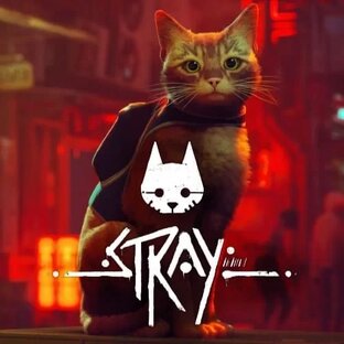Stray