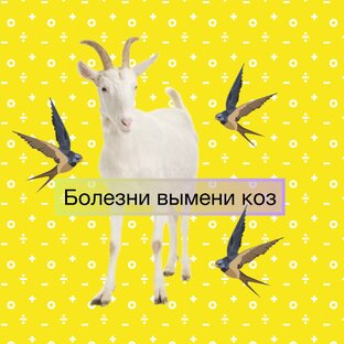 Маститы