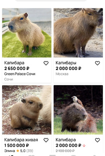 Подборки товаров с ВБ, Озона, Авито…