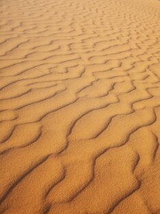 Путешествия