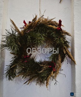 Обзоры книг