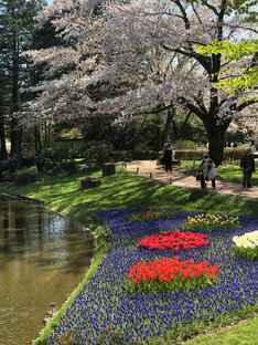 Япония изнутри