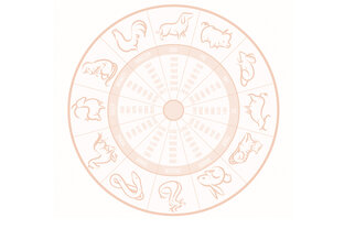 Здоровье в Бацзы