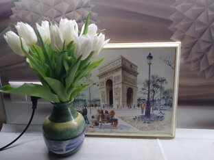 Мои стихотворения