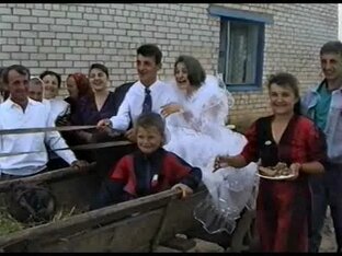 Берега тишины 