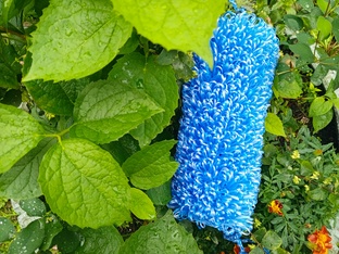 Мочалки