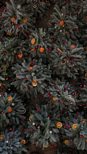 Все про Новый Год