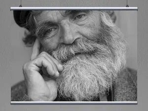 Курс философии в стихах