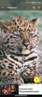 Подпишитесь позязя на меня в рутуб!🥺