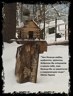 Такие разные!