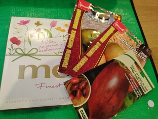 Томаты ГНОМЫ